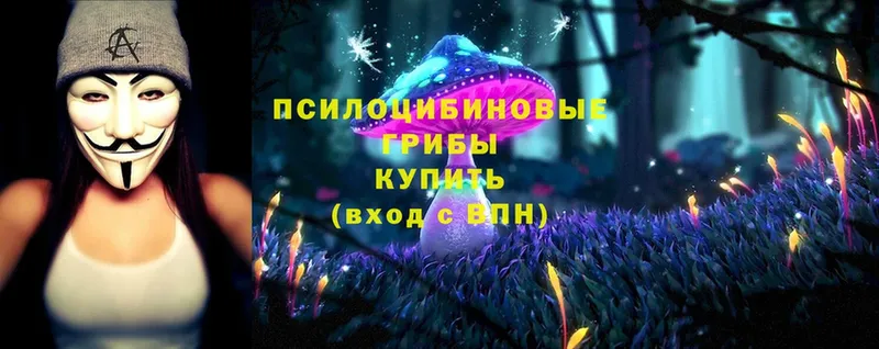 Галлюциногенные грибы Magic Shrooms  Набережные Челны 